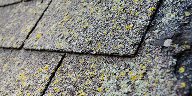Five Common Problems in Roof Repair and How to Identify Them