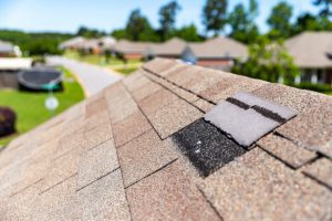 How Environmental Elements Can Make Roof Repair Necessary