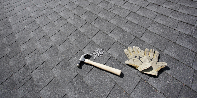What Roofing Companies May or May Not Tell You About Your Roof